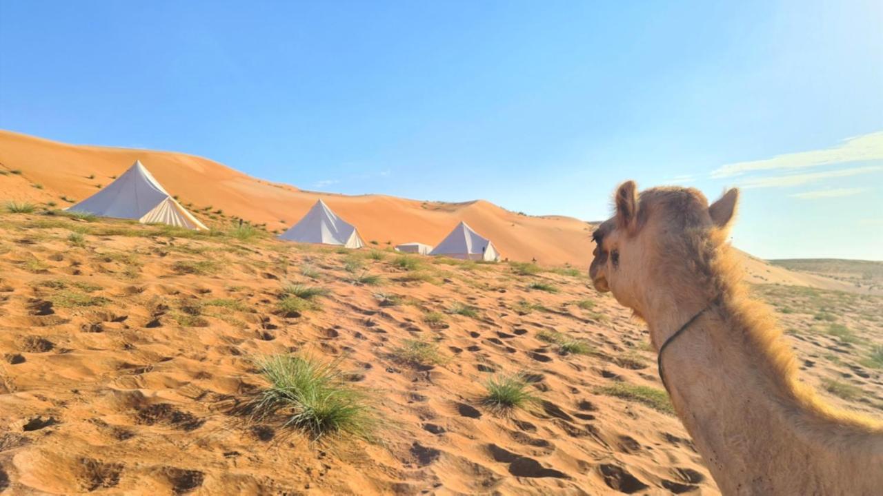 Desert Moments Glamping - Full Privacy Bidiya Ngoại thất bức ảnh